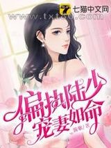 偏执陆少宠妻如命图片