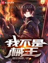 我不是械王图片