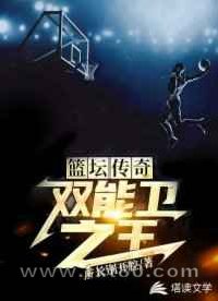 篮坛传奇:双能卫之王图片