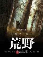 捡了一片荒野图片