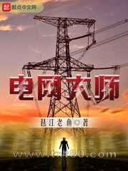 电网大师图片