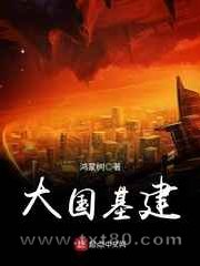 大国基建图片
