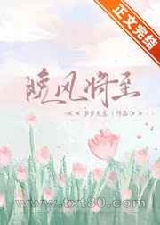 晚风将至图片