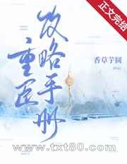 重臣攻略手册图片