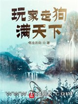 玩家走狗满天下图片