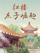 红楼:庶子崛起图片