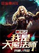 重生之我是大魔法师图片