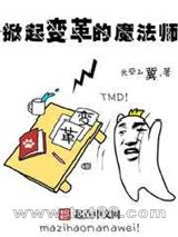 掀起变革的魔法师图片