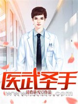 医武圣手/国手圣医图片