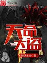 天命大盗图片