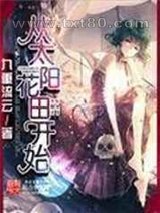 从太阳花田开始图片