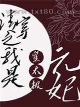 清穿之我是皇太极元妃图片