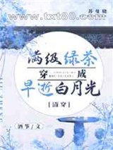清穿之满级绿茶穿成早逝白月光图片