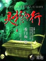 灵棺夜行图片