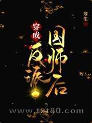 穿成反派国师后图片