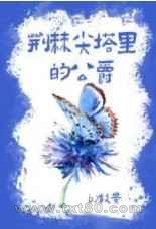 荆棘尖塔里的公爵图片