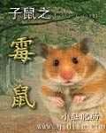 子鼠之霉鼠图片