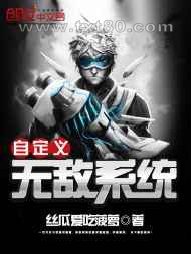 自定义无敌系统图片