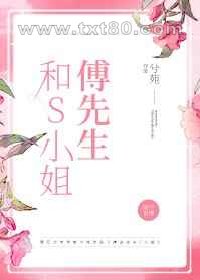 傅先生和S小姐图片