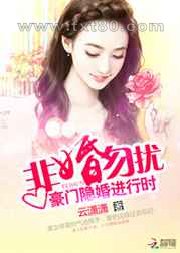 非婚勿扰:豪门隐婚进行时图片