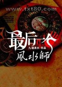 最后一个风水师图片