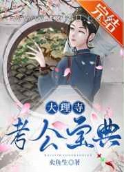 大理寺考公宝典图片