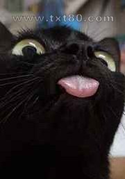 毛茸茸即正义图片