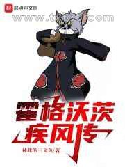 霍格沃茨疾风传图片