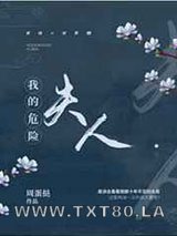 我的危险夫人图片