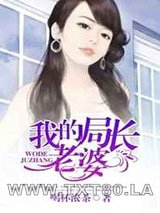 我的局长老婆图片