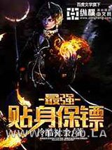 最强贴身保镖图片