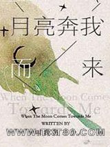 月亮奔我而来图片