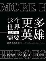 [综英美]这个世界需要更多英雄图片