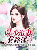 陆少追妻套路深图片