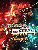 网游之至尊菜鸟图片