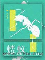 蝼蚁图片