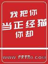 我把你当正经猫你却图片