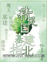 精灵国基建指北图片