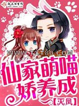 仙家萌喵娇养成图片