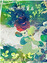 [综]偶像重启图片