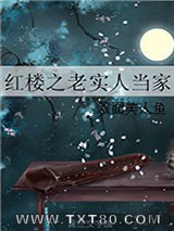 红楼之老实人当家图片