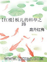 [红楼]板儿的科举之路图片