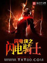 闪电侠之闪电骑士图片