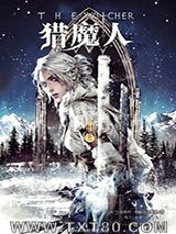 猎魔人6：雨燕之塔图片