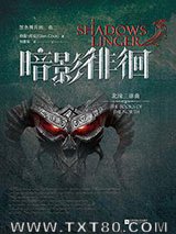 北境2：暗影徘徊图片