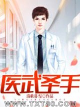 医武圣手图片