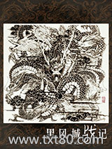 黑风城战记图片