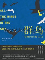 群鸟飞舞的世界末日图片