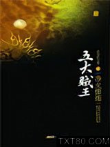 五大贼王3：净火修炼图片