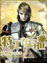 特工在异世图片